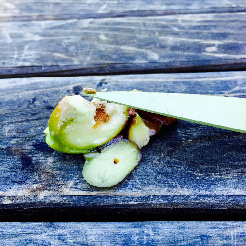 Cutting open an olive with fly damage – Olive Fruit Fly Video – Yikes! img